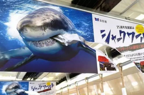 這是一張海報(bào)的正反面。人們很容易被這個(gè)破損的不尋常海報(bào)吸引注意力。