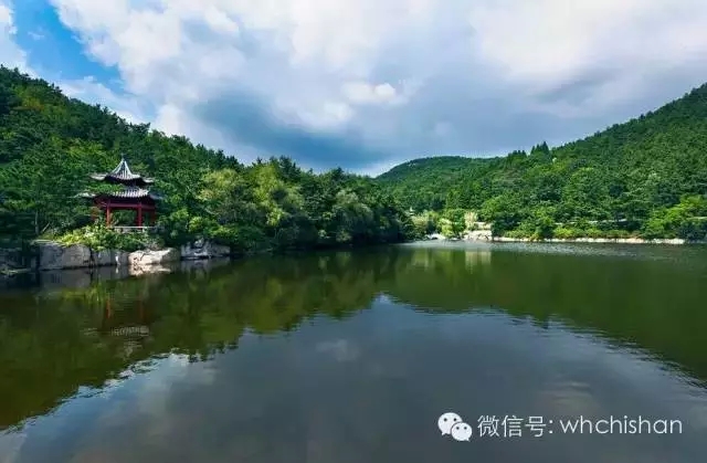 花期已過葉還未紅 去赤山賞云吧！