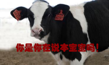 關(guān)我什么事！