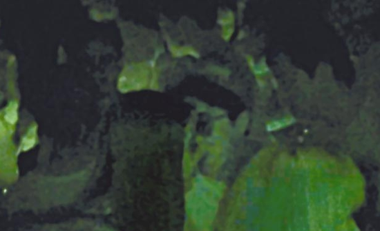 房祖名去年被港媒直擊在中環(huán)夜店與長(zhǎng)發(fā)妞互動(dòng)曖昧，女生正是Nana