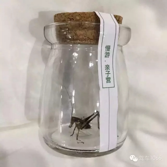 看看我的成果吧！