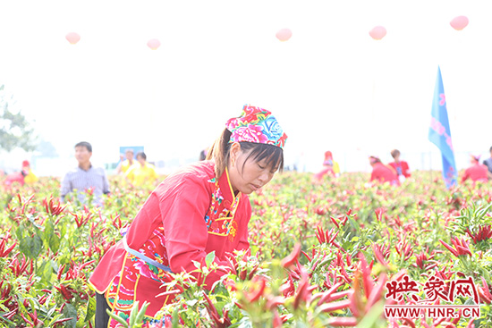 認真比賽的辣妹子