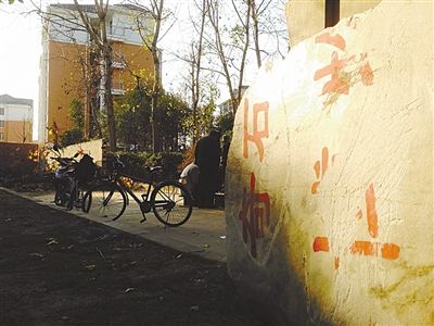 昨日，“上海奇石盆景博物館”原址上，已矗立起小區(qū)樓盤，而刻著博物館名的巨石，廢棄在一旁。本版圖片/新京報(bào)記者 張永生 攝