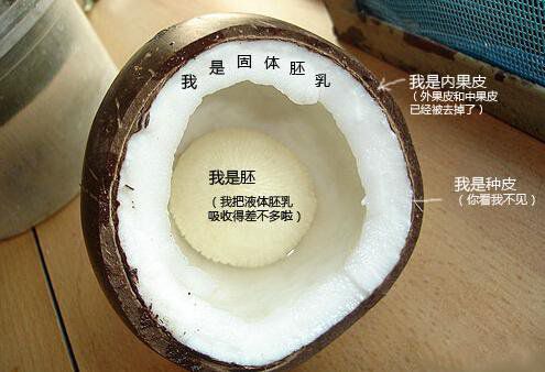 你在甜品店常吃的東西，到底都是啥？