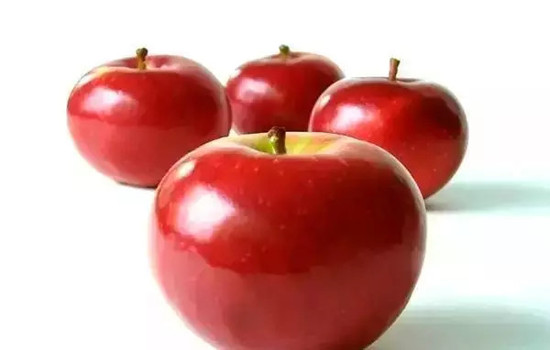 小心有毒！各種蔬果不能吃的部分