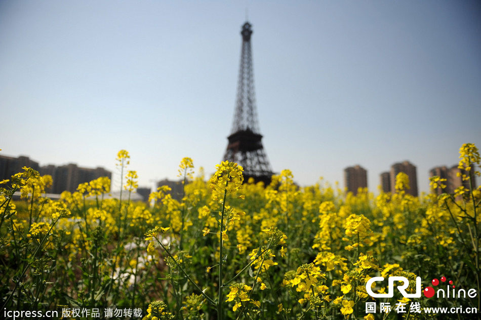 　2014年3月21日，杭州天都城，農(nóng)民在山寨埃菲爾鐵塔下耕作。圖片來(lái)源：東方IC