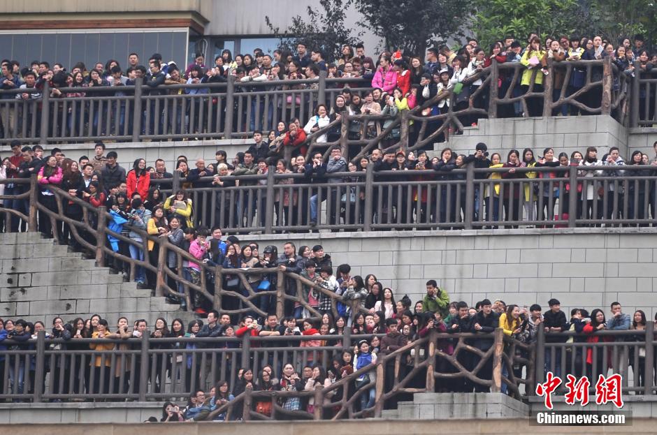 重慶上萬粉絲在南濱路等待《奔跑吧兄弟》節(jié)目的錄制。