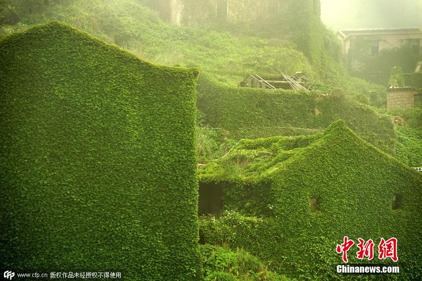 浙江舟山一荒廢海島宛如綠色童話(huà)世界