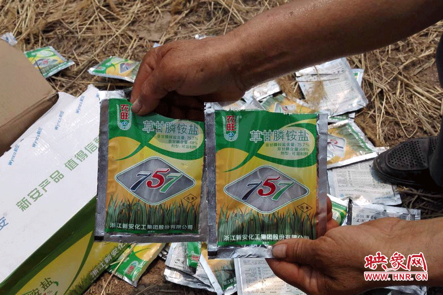 毀掉玉米的農(nóng)藥袋散落在地頭。