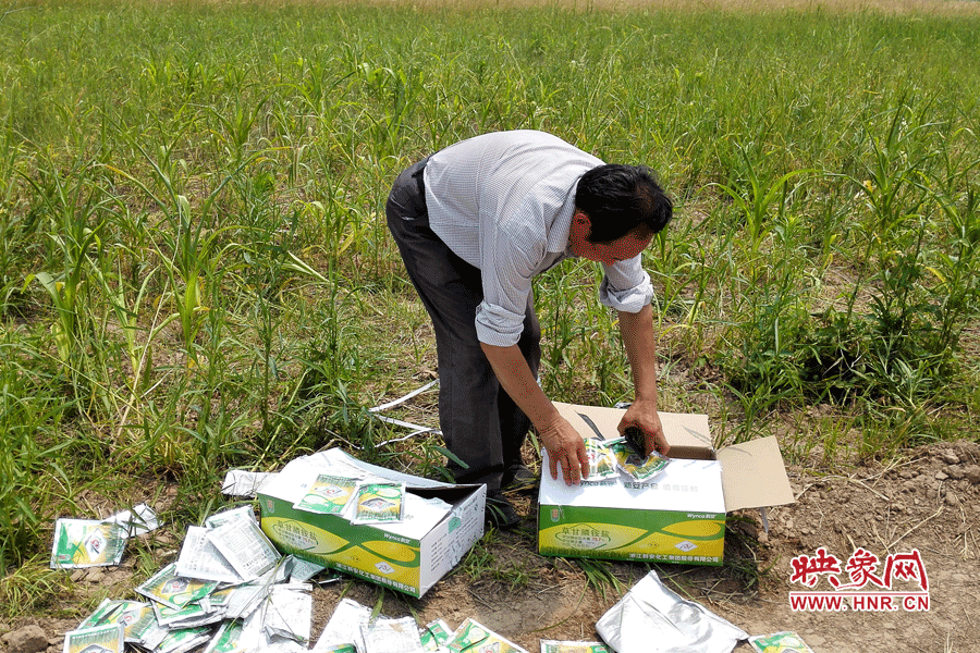 村民察看摧毀玉米的農(nóng)藥。