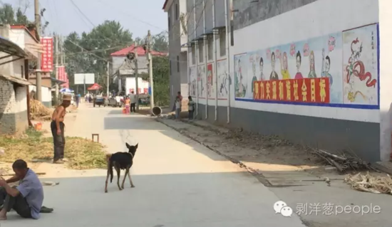 孫莊村一角。新京報(bào)記者安鐘汝 攝