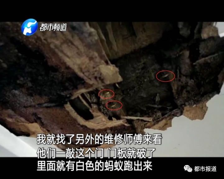 蟻?zhàn)宕筌娙肭?！十幾萬(wàn)裝修的新家被“吃掉”