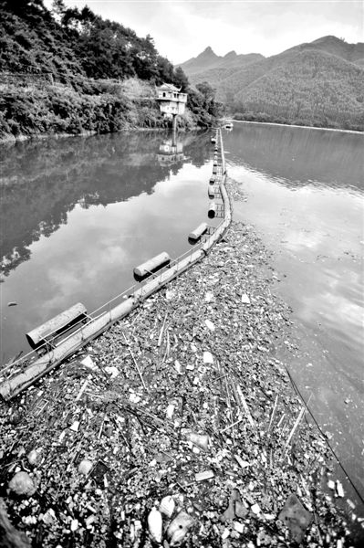 7月7日，廣西賀州市賀江合面獅段被污染的水域。據(jù)新華社