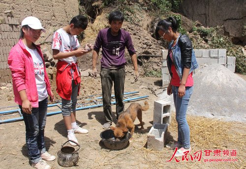 渴壞了的小黃狗在喝水。王生元/攝