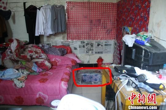 圖上紅圈內(nèi)為嫌犯所挖地窖入口。 吳佳蔚 攝