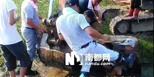 幾名戴黑帽的男子將一名老人推入水塘，后反復(fù)腳踹。