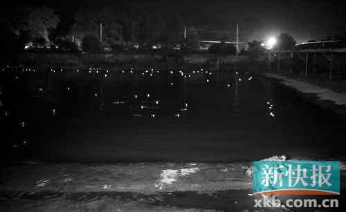 昨日，西湖村鱷魚養(yǎng)殖場已修復(fù)圍欄。