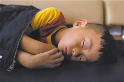 9月6日，等待錄制節(jié)目的多多躺在沙發(fā)上熟睡。新京報(bào)記者 侯少卿 攝