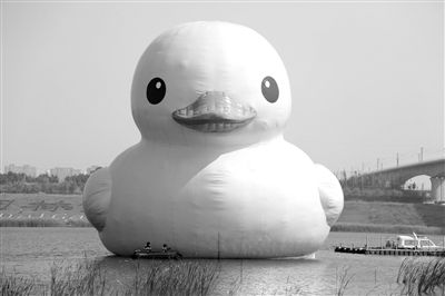 昨日，經(jīng)過連夜修正，大黃鴨的嘴部已恢復(fù)變寬，和在香港展出時看起來一樣。