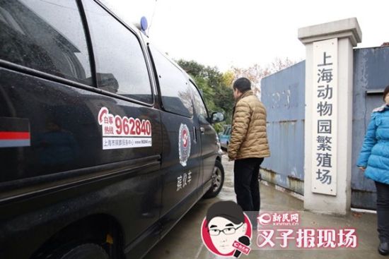 殯葬車到達(dá)現(xiàn)場。新民網(wǎng) 記者 蕭君瑋 攝