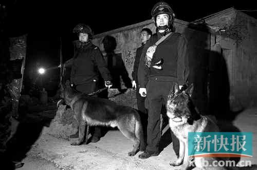 緝毒犬協(xié)助警方搜查毒品。