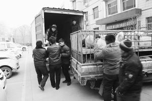 　　■返還追回的被搶綿羊。 本報記者董世杰攝