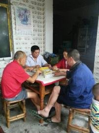 掃水掃不及，胥家鎮(zhèn)柏河村的居民干脆打起了麻將。