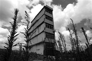 這幢5層的“片片樓”周圍已是一片拆遷后的廢墟，左邊的一堵墻上，不少鋼筋裸露在外面 圖片來源：新華網(wǎng)