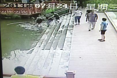 救人現(xiàn)場的視頻截圖。（監(jiān)控截圖）