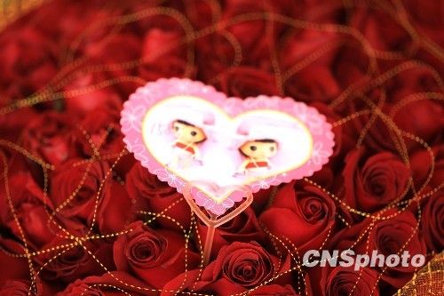 愛(ài)情為什么這么難