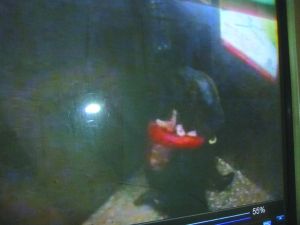 侯某被摁倒割喉。