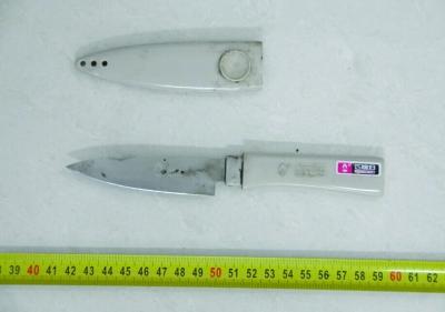 負(fù)債男尋死不成 捅死女鄰居謊稱(chēng)情殺并縱火