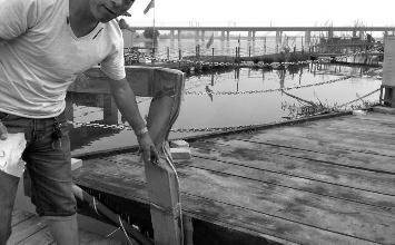 鼻孔里凝著血痂、全身多處擦傷的周先生仍有些驚魂未定。