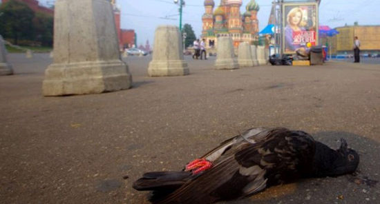 外媒稱(chēng)莫斯科現(xiàn) 外媒稱(chēng)莫斯科現(xiàn)