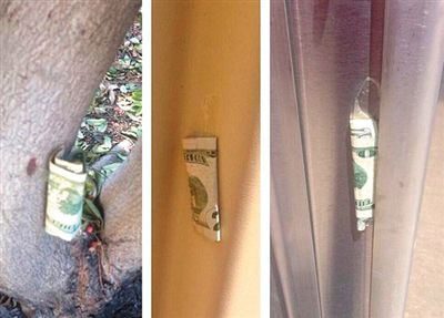 “隱藏的鈔票”會(huì)被神秘人藏在公園、廁所等“奇怪的地方”。