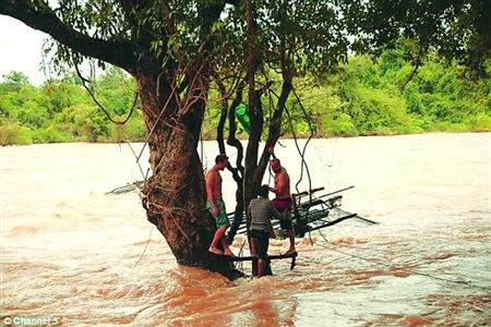 蓋屋、種菜，“從沒這樣快樂”