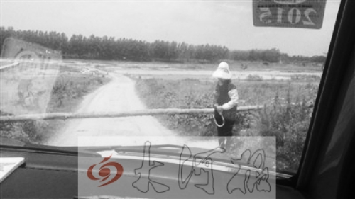 中年婦女?dāng)r路收費