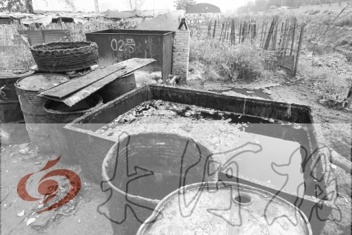 　　骯臟、令人作嘔的油桶凌亂地?cái)[放在院子里，為了避免視覺(jué)刺激，我們把它做成了黑白圖片。