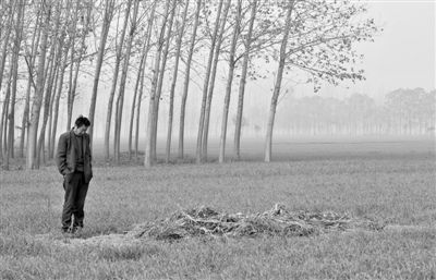 11月21日，高松中站在腦癱雙胞胎兒子墳前。