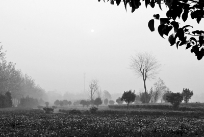 3月26日上午8點(diǎn),鄭大新校區(qū),濃濃的霧霾埋沒(méi)了大好春景。