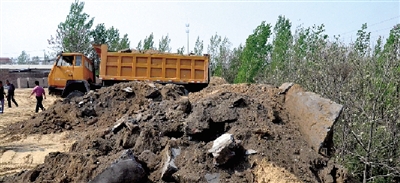 垃圾將生態(tài)涵養(yǎng)林給埋住了。