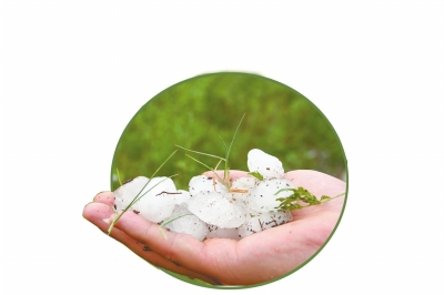 冰雹化了一些,還有這么大。