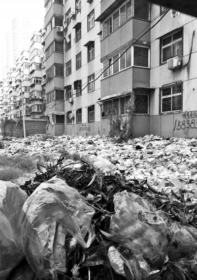 透過(guò)擋板縫向內(nèi)看，30多米垃圾已經(jīng)將居民樓包圍。