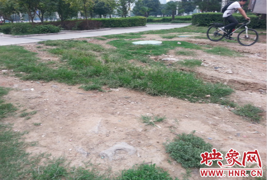 公園內(nèi)大片草坪遭到破壞。