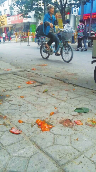 爛了一地的柿子影響市容，還常?；谷?。