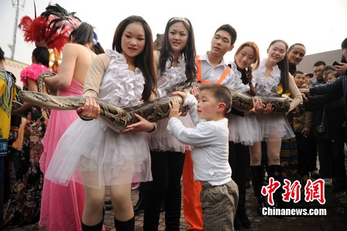 蛇年在即 重慶美女舌吻大蟒蛇求沾喜氣 蛇年在即 重慶美女舌吻大蟒蛇求沾喜氣