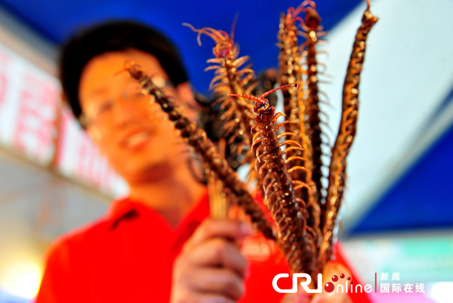 昆蟲(chóng)宴亮相沈陽(yáng) 蜘蛛蜈蚣讓人咋舌