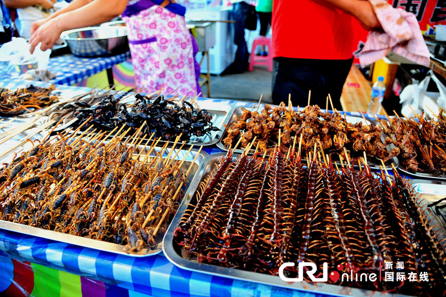 昆蟲(chóng)宴亮相沈陽(yáng) 蜘蛛蜈蚣讓人咋舌