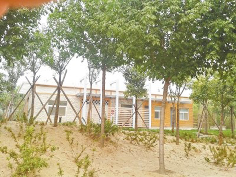 鄭州近百個(gè)公廁天天鎖門(mén) 附近綠地卻成便溺處 鄭州近百個(gè)公廁天天鎖門(mén) 附近綠地卻成便溺處