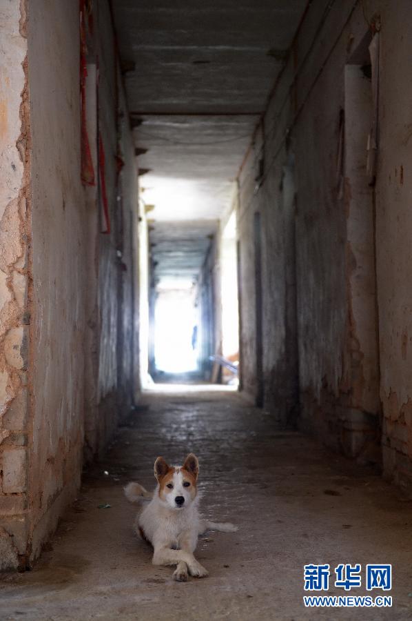 農(nóng)場(chǎng)棚戶區(qū)的最后留守家庭：留下的是回憶，迎來(lái)的是幸福